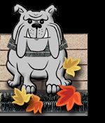 Gutter Dog